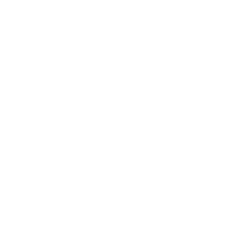 ClientEcho